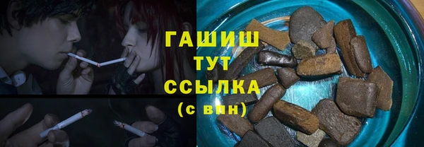 дмт Богородицк