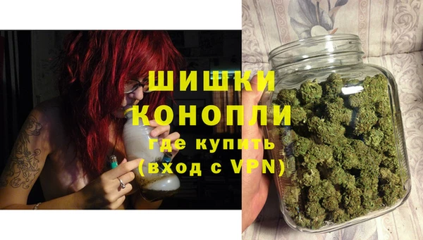 дмт Богородицк