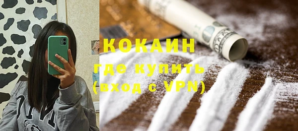 стафф Новозыбков