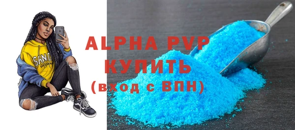 стафф Новозыбков