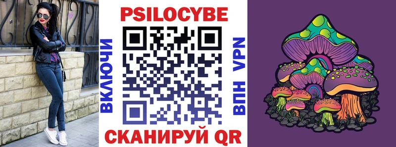 купить закладку  Борисоглебск  Псилоцибиновые грибы Psilocybine cubensis 